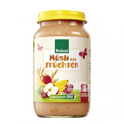 LEBENSWERT German Organic Fruit Cereal Mix Puree over 8 months old