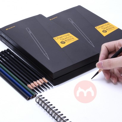 Tenwin Charcoal Art Professional Drawing Pencil For School Students